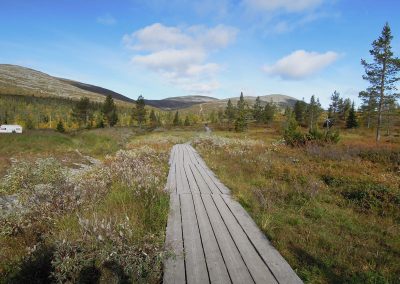 Zweeds-Lapland