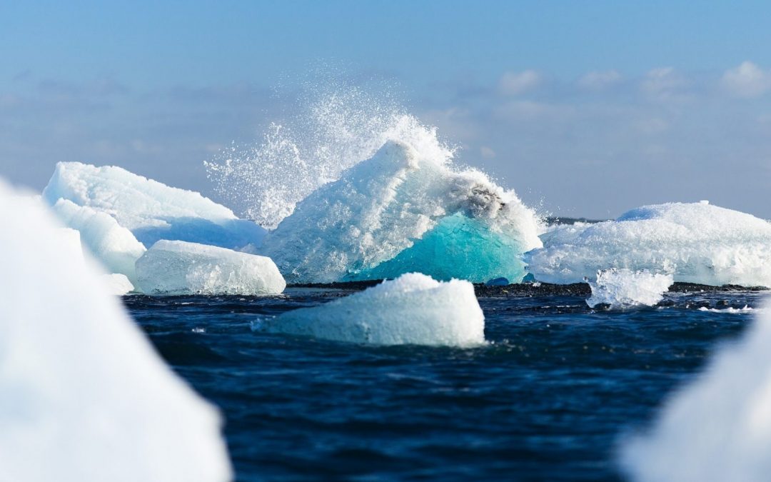 Antarctica: de wereld van ijs en pinguïns