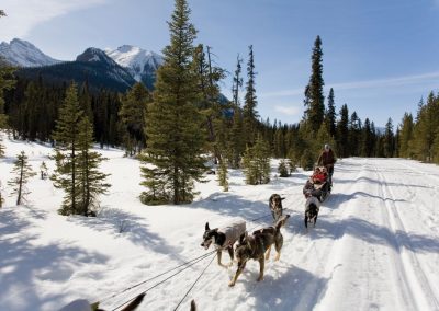 AdventureWintersport Canada.hondenslede