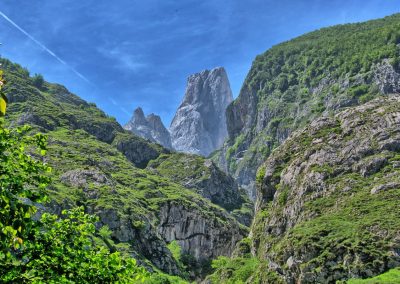 Picos de Europa