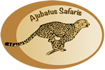 Ajubatus-logo