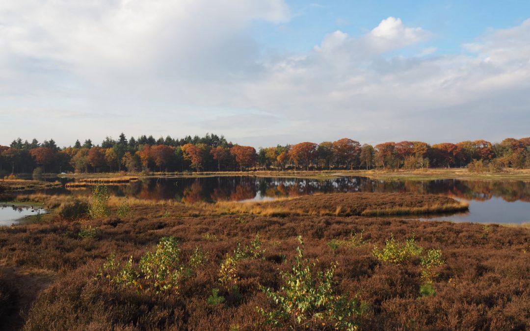 Wandelen met Hike in Holland