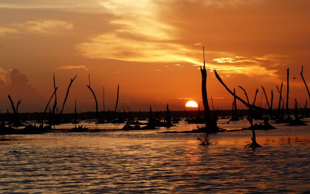 Ontdek het echte Suriname