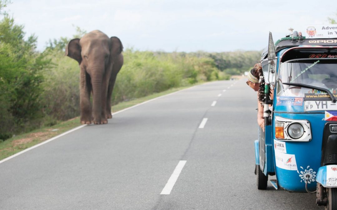 Op drie wielen door Sri Lanka