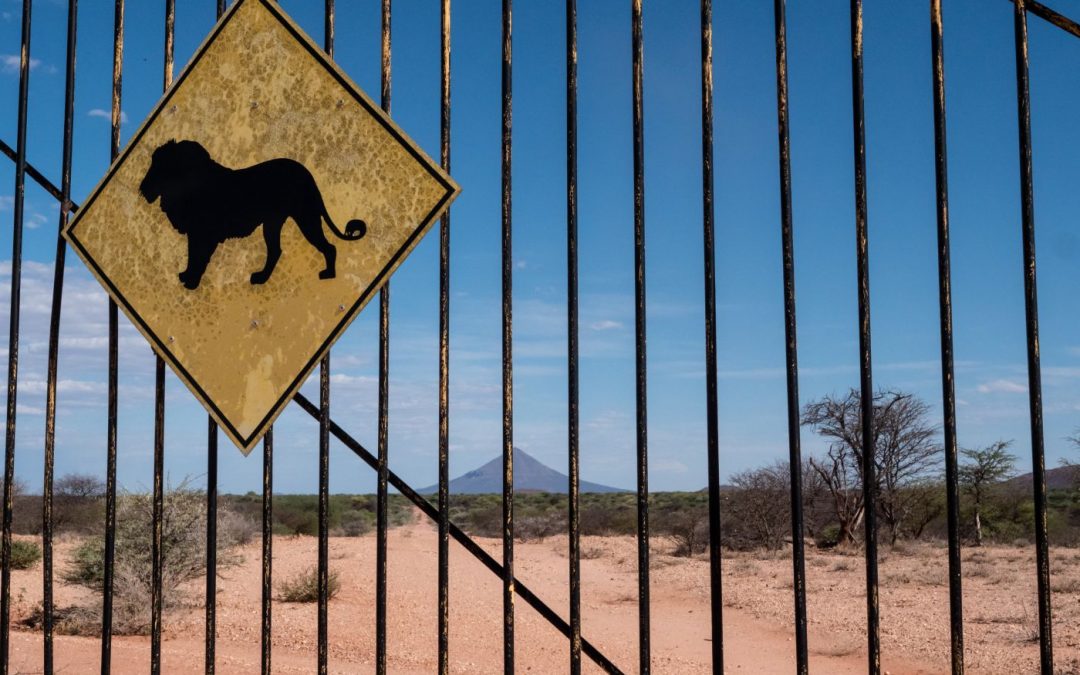 Wild van Namibië