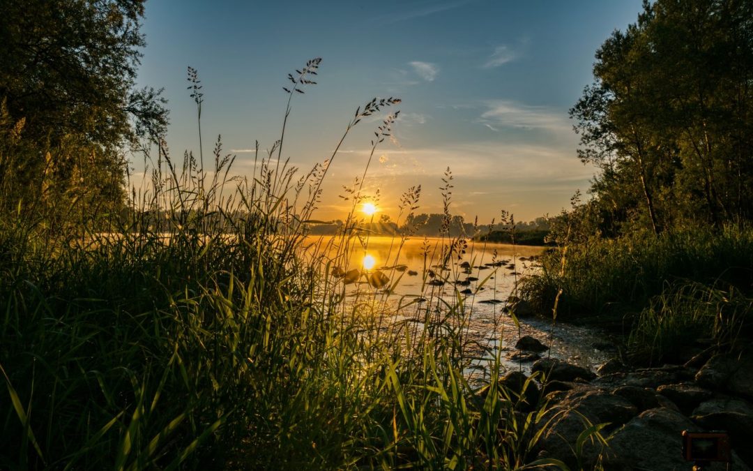 Relaxen aan de Rijn