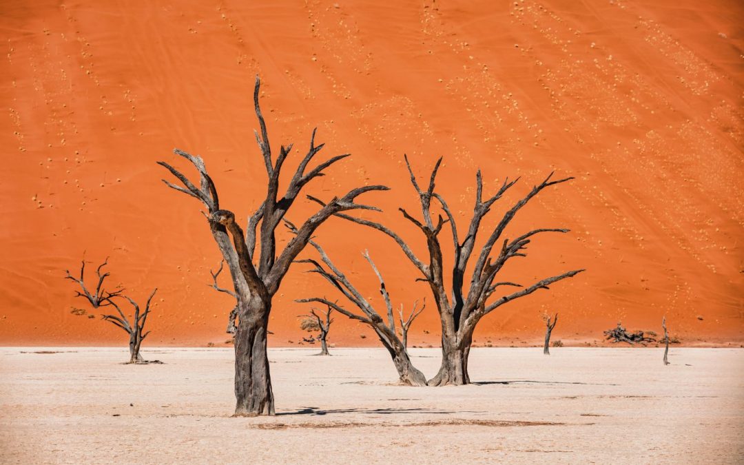 Een ongeëvenaard natuurspektakel